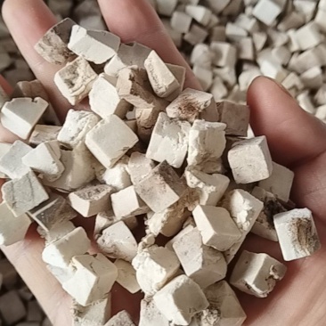 茯苓