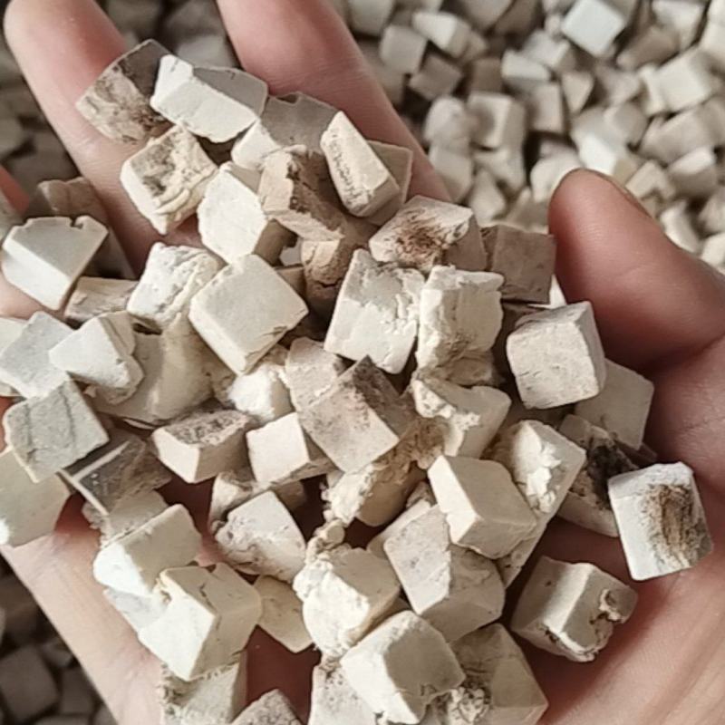 茯苓