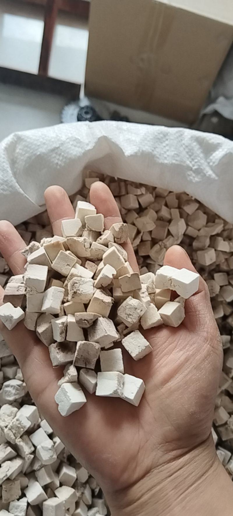 茯苓