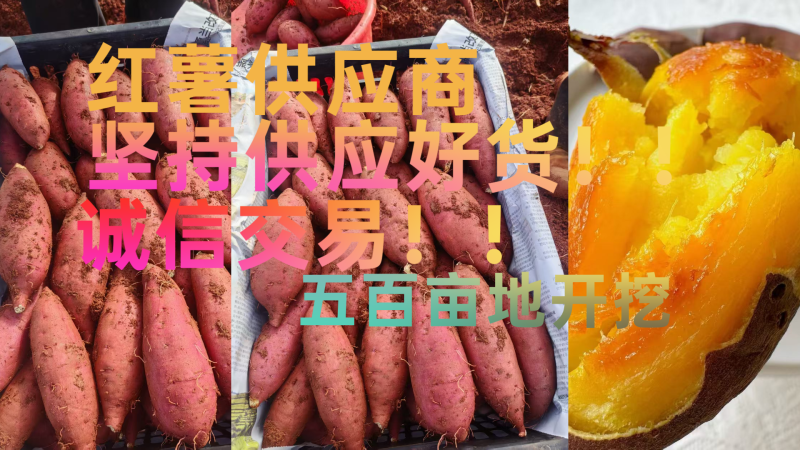 西瓜红