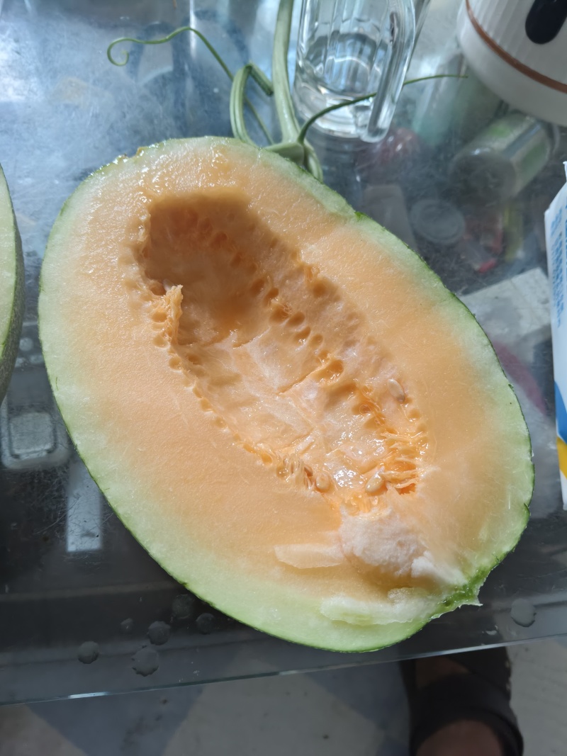 哈密瓜