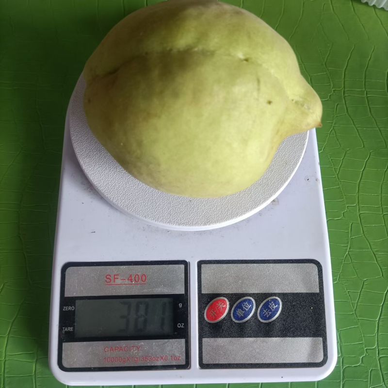 翠冠梨，鹰嘴桃