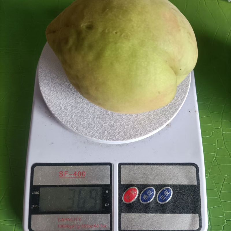 翠冠梨，鹰嘴桃