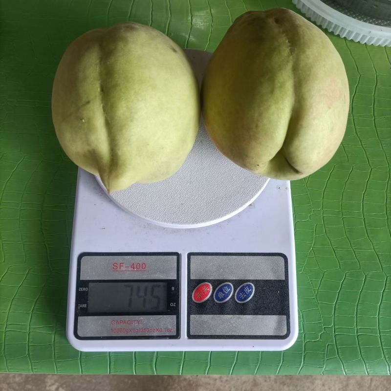 翠冠梨，鹰嘴桃