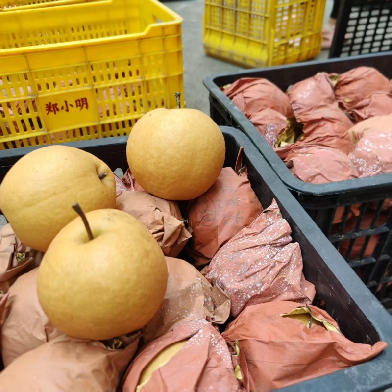 翠冠梨，鹰嘴桃