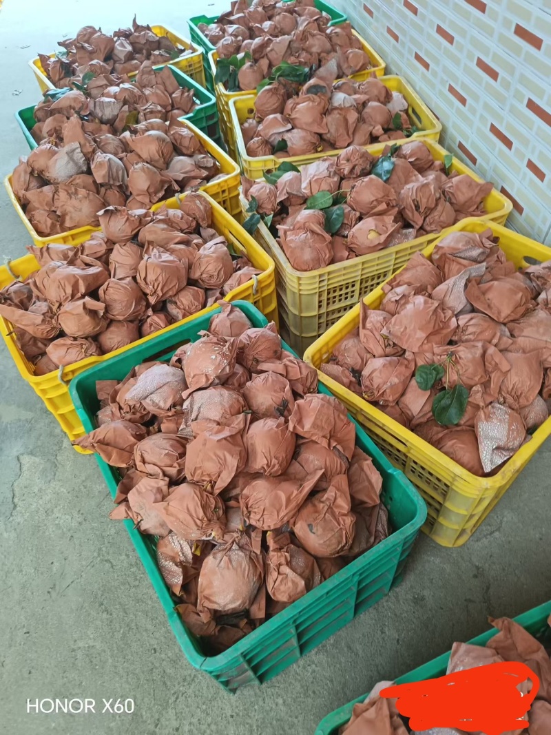 翠冠梨，鹰嘴桃