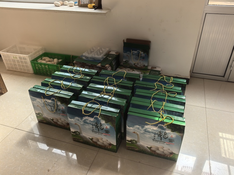 纯散养新鲜鹅蛋。只卖真鹅蛋，保证质量，现捡现发