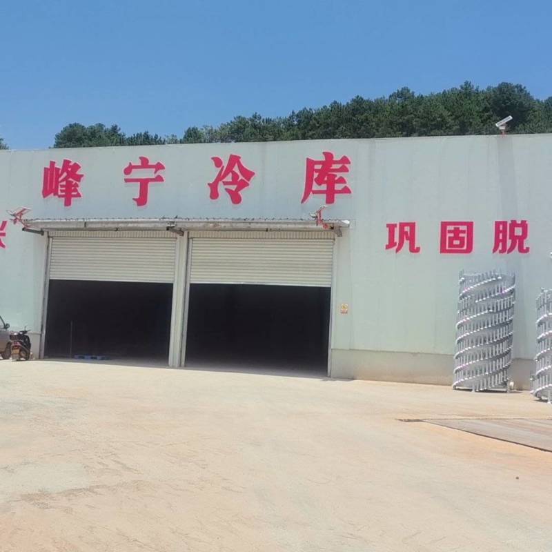 云南，昭通巧家马树，会泽，速冻草莓，鲜果草莓自产自销