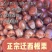25年迁西板栗正宗迁西板栗