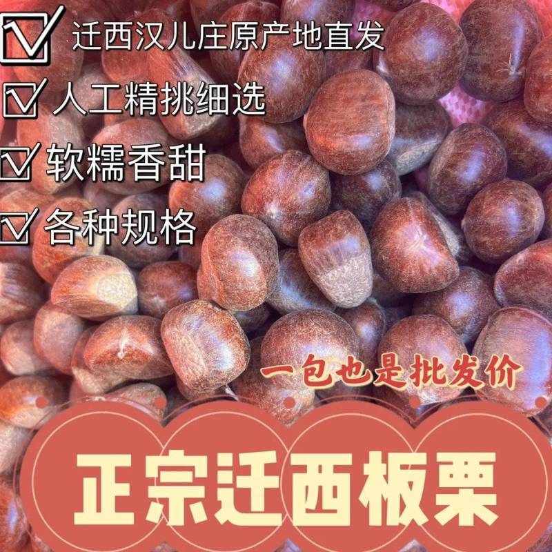 25年迁西板栗正宗迁西板栗
