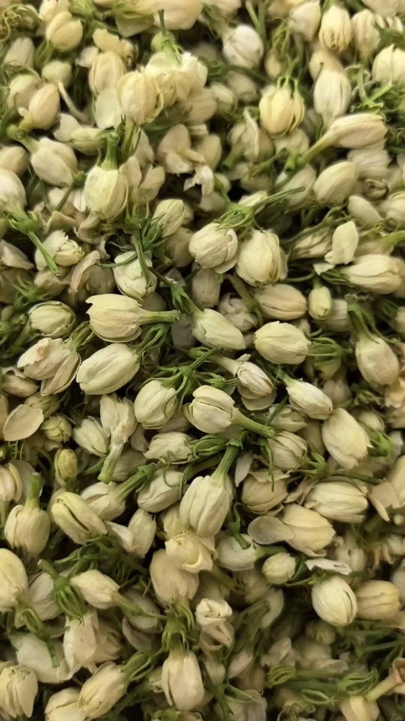 横县原产地茉莉花干