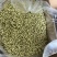 横县原产地茉莉花干