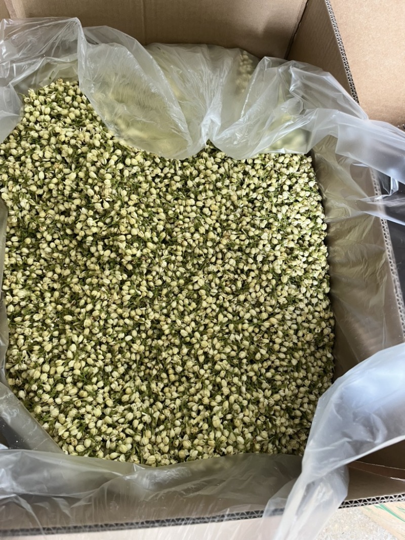 横县原产地茉莉花干