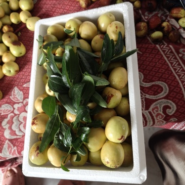 大荔冬枣