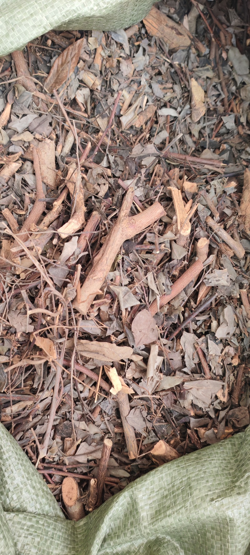 中药材黑面神，鬼画符