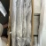 带鱼1000/up钓带