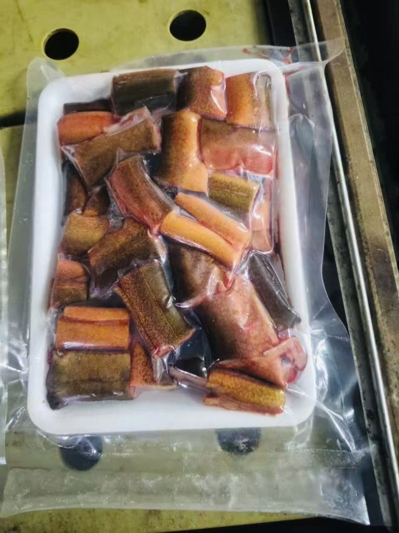 去头去尾鳝鱼段