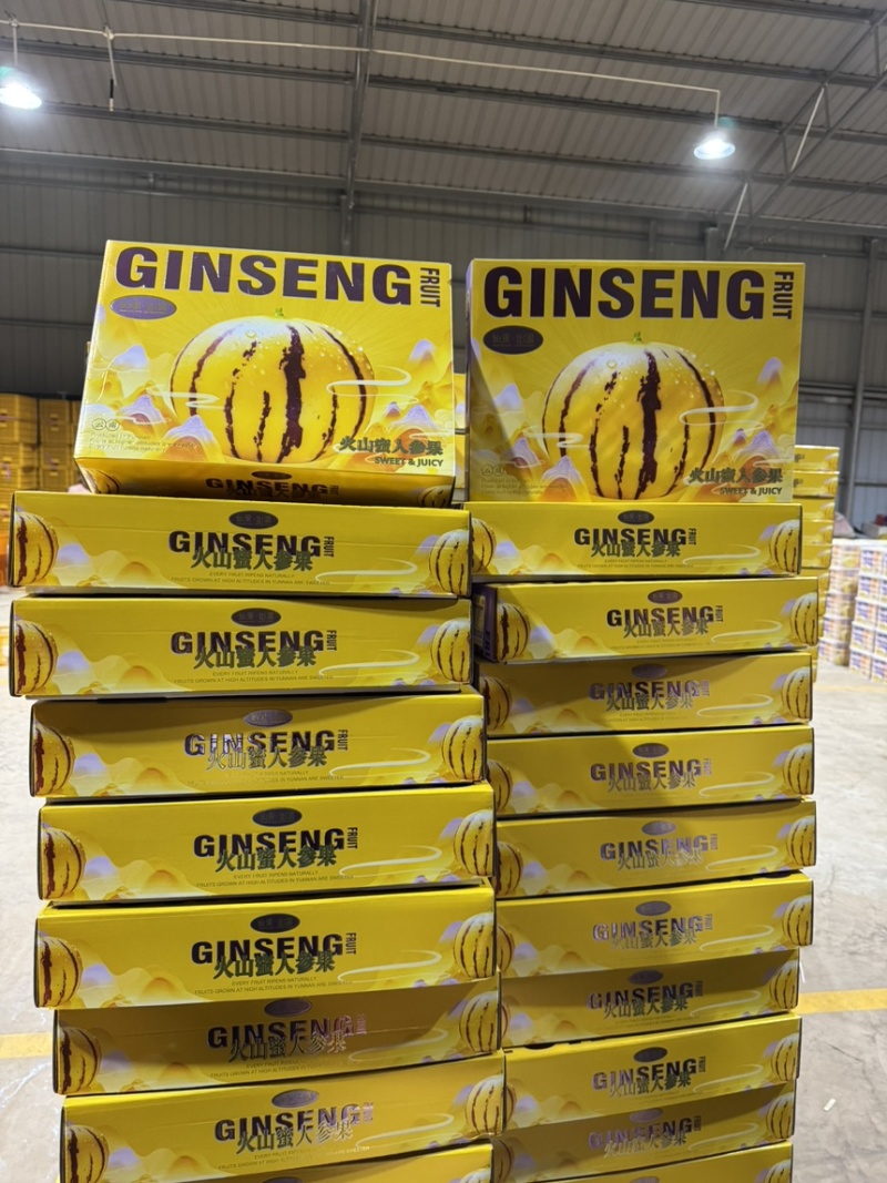 青沙地精品人参果