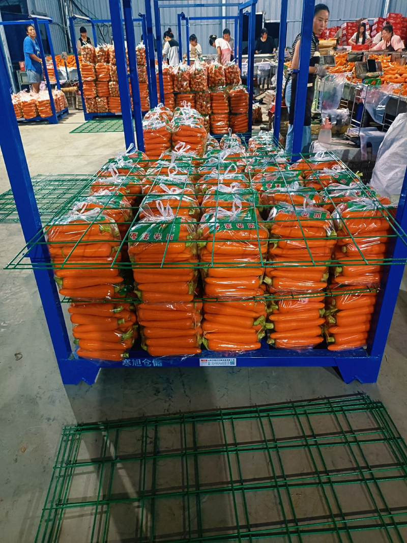 【热销产品】三红胡萝卜/河北胡萝卜/廊坊萝卜/水洗精品