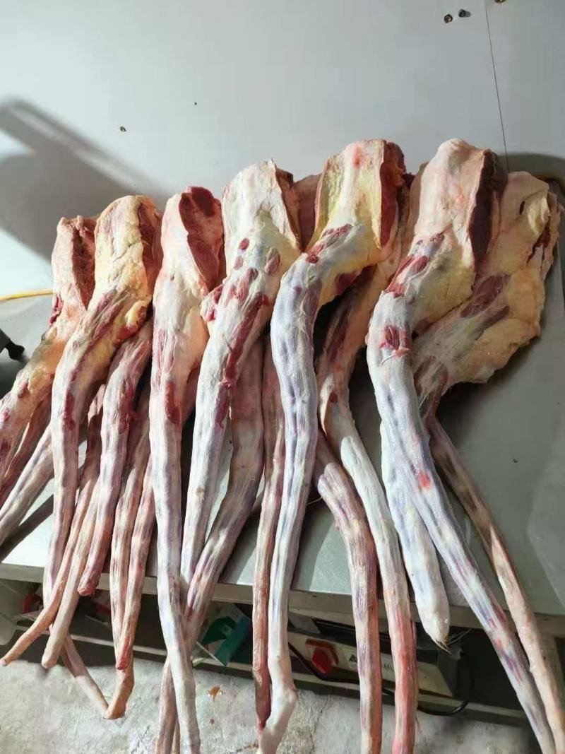 清真牛产品，牛尾