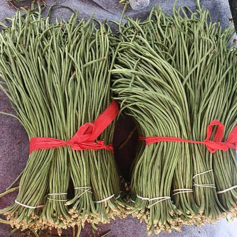 豇豆大量批发