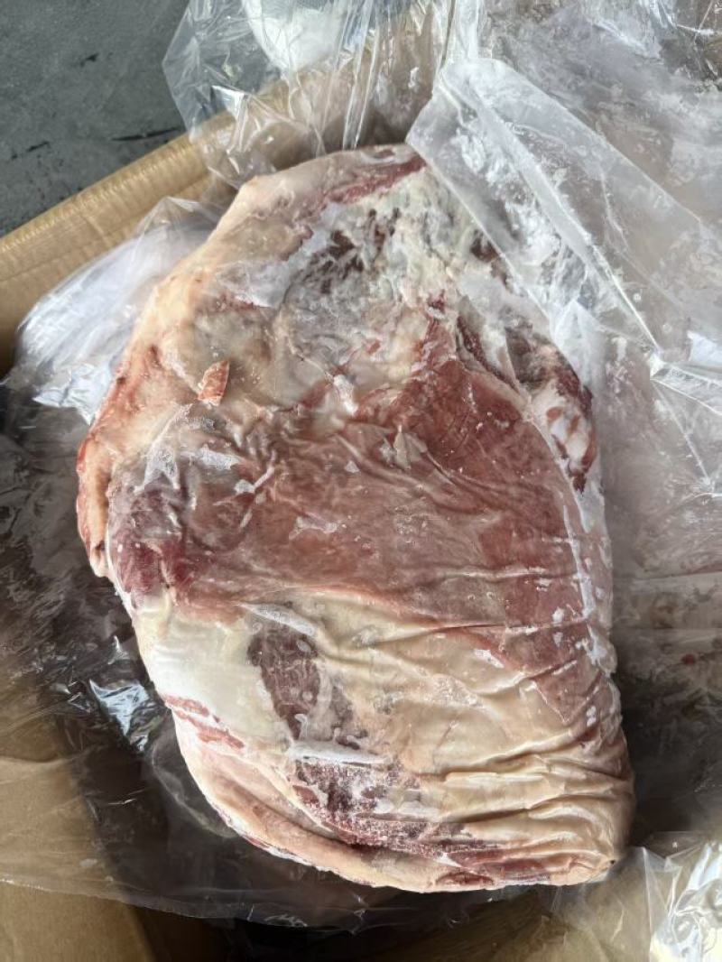 滩羊羊全排