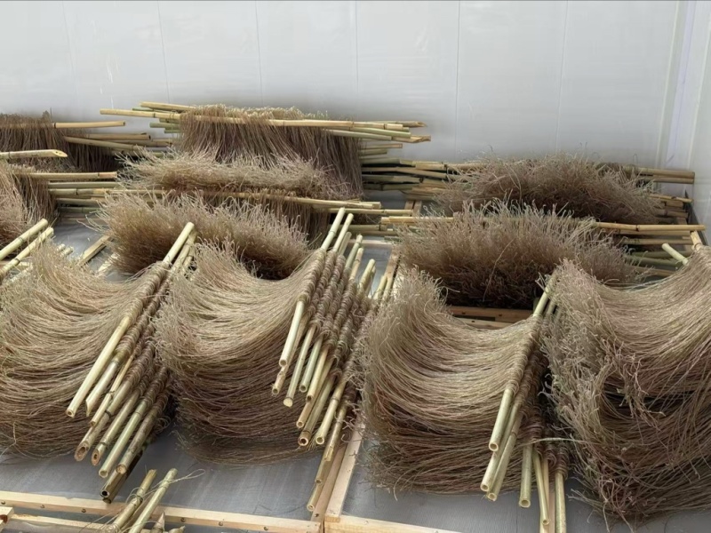 红薯粉条/基地直发/货源充足/大量现货/欢迎选购