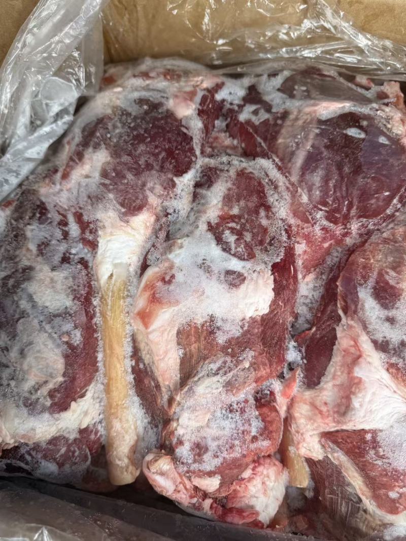 牛龟腱价格优惠