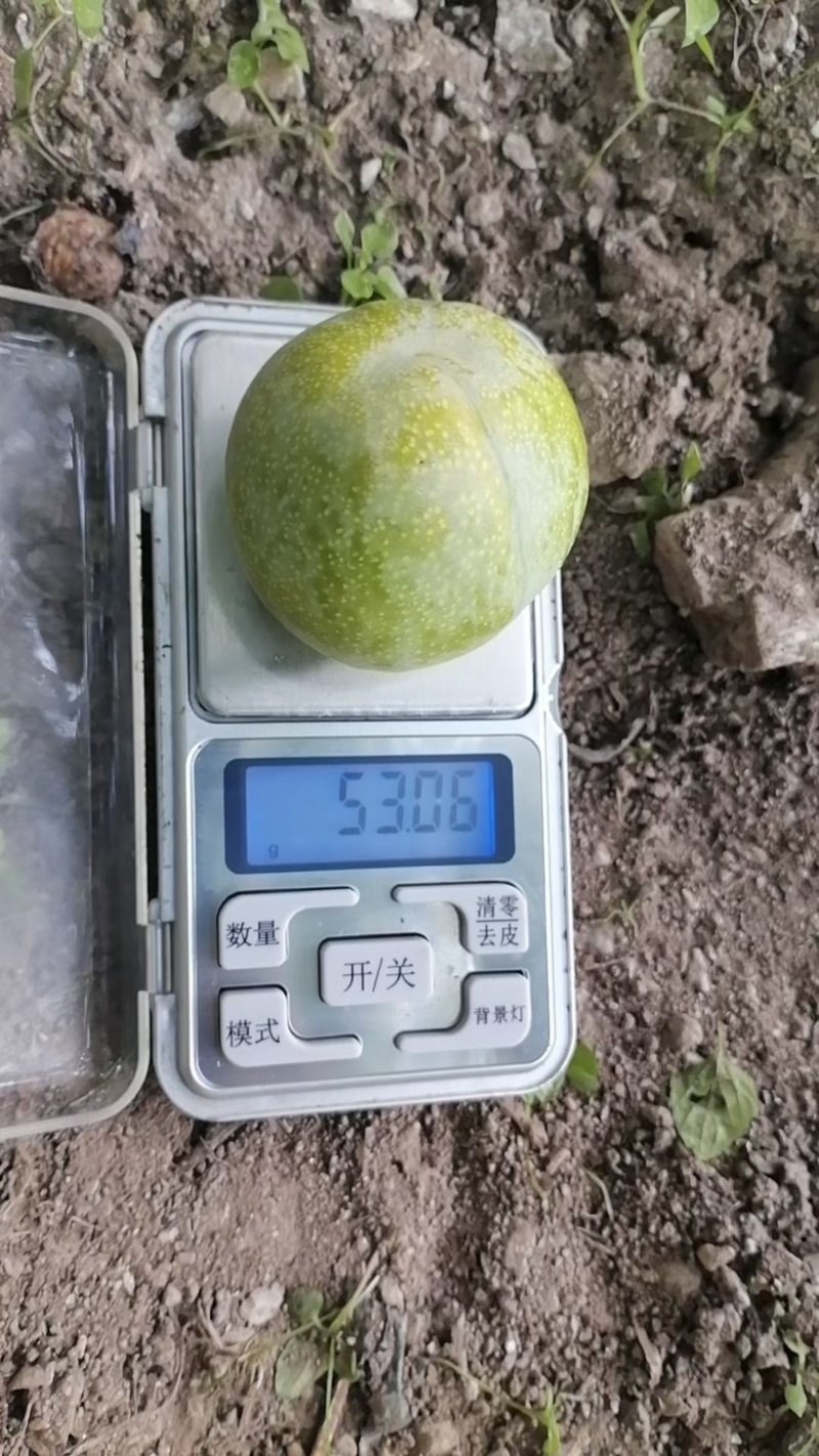 脱骨青脆李