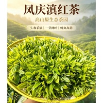 正宗滇红茶源头厂家批发零售一斤也是批发价欢迎选购