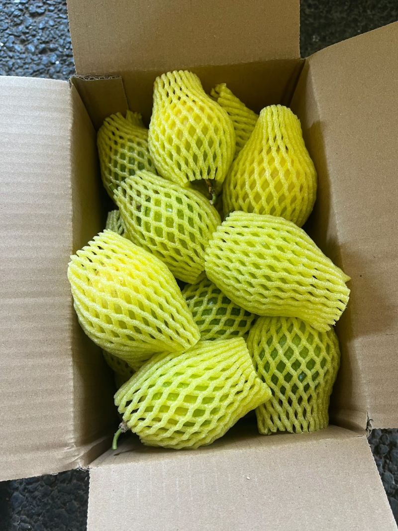 百香果大果
