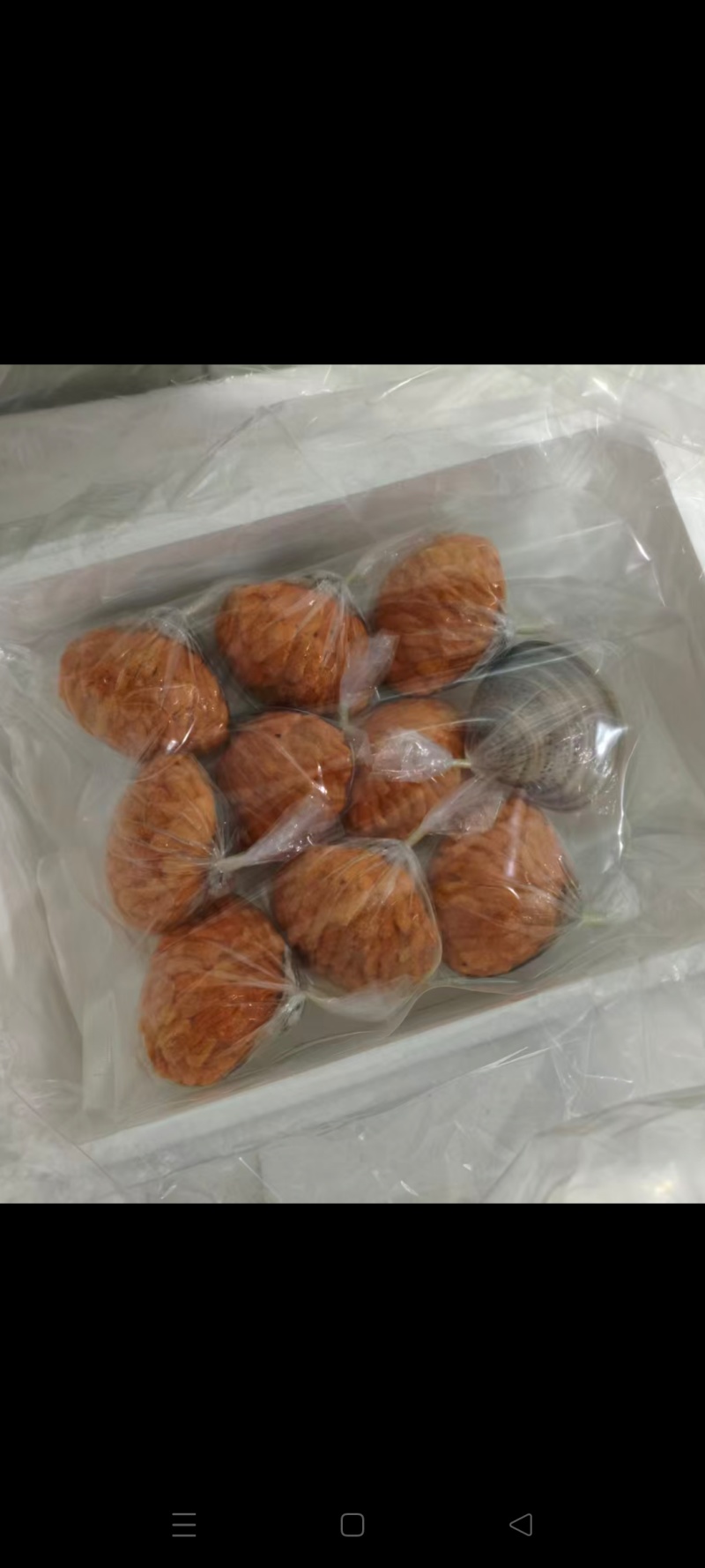 带壳30克熟马粪海胆肉