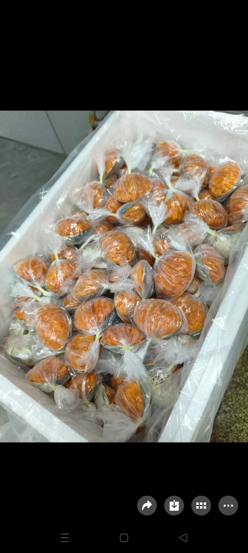 带壳30克熟马粪海胆肉