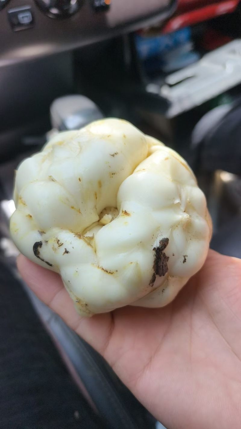 特级