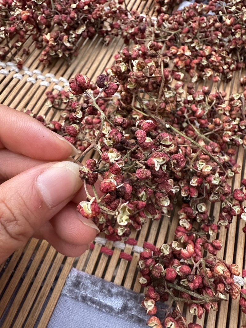 7月25日，2026新花椒！这是早熟花椒图片！