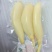 真实价格，水果藕，洪湖莲藕，用于清炒和刺生制作。
