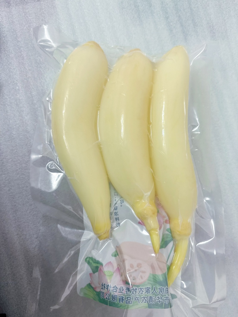 真实价格，水果藕，洪湖莲藕，用于清炒和刺生制作。
