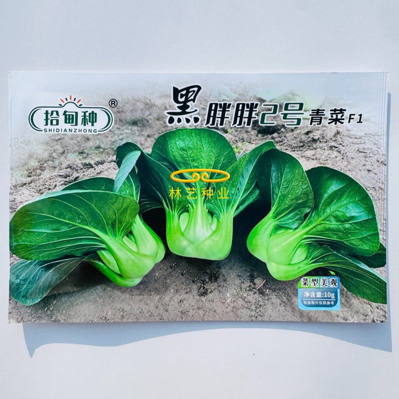 黑胖胖2号青梗菜种子杂交一代苏州青特矮株糯性强风味美黑矮