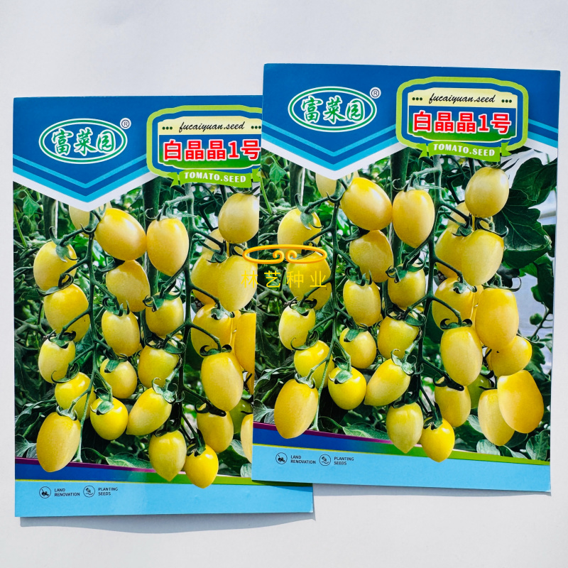 白晶晶1号小番茄种子白皮微黄肩圣女果小西红柿种籽