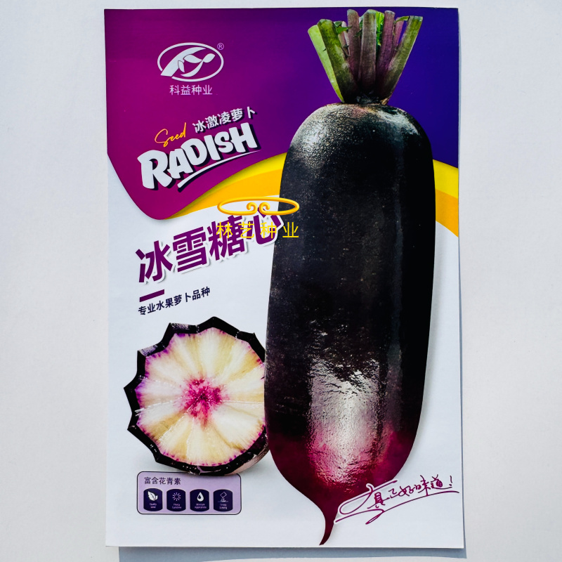 冰雪糖心萝卜种子紫红花甜脆水果萝卜种子花青素高糖度