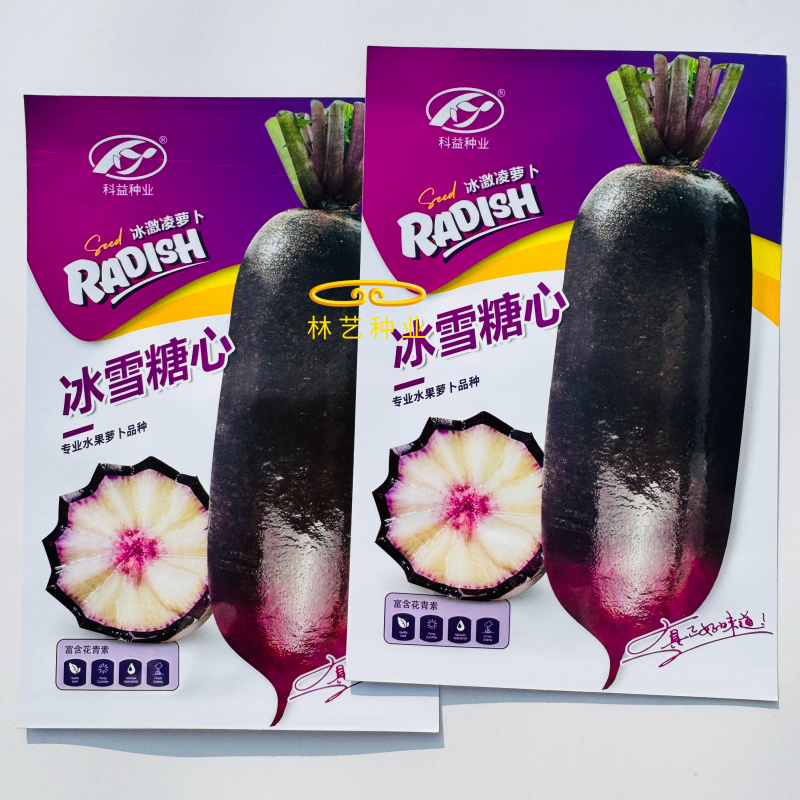 冰雪糖心萝卜种子紫红花甜脆水果萝卜种子花青素高糖度
