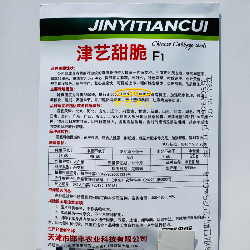 津艺甜脆大白菜种子青叶麻菜种籽包头大白菜种籽无纤维白菜种