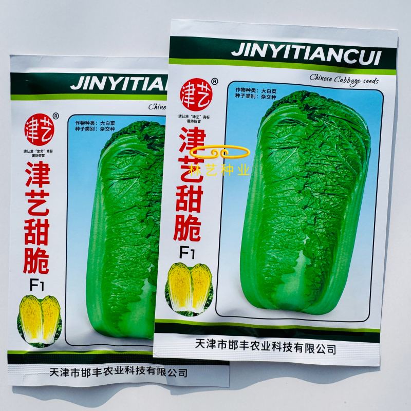 津艺甜脆大白菜种子青叶麻菜种籽包头大白菜种籽无纤维白菜种
