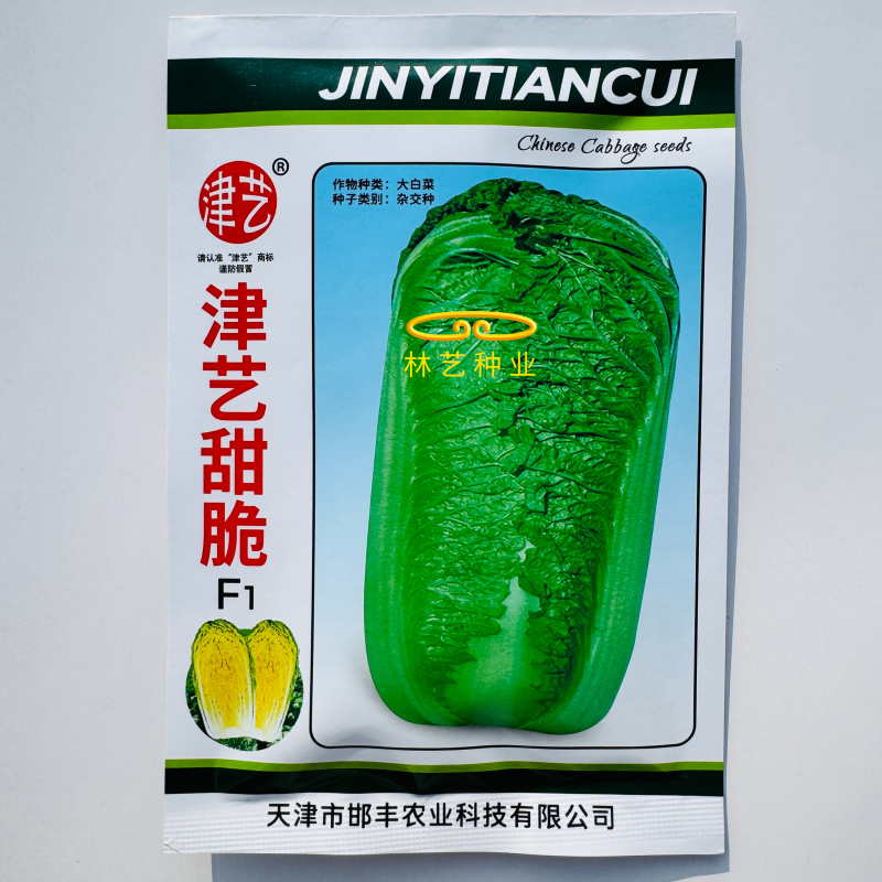 津艺甜脆大白菜种子青叶麻菜种籽包头大白菜种籽无纤维白菜种