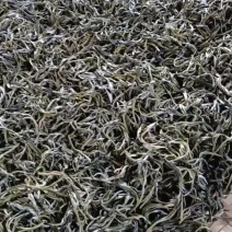 普洱茶
