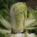 丰田绿霸白菜种子青麻叶大白菜种籽包头麻菜种子包头白菜种籽