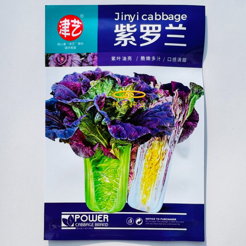 紫罗兰白菜种子青麻叶型紫白菜种子一代杂交紫白菜种籽紫白菜