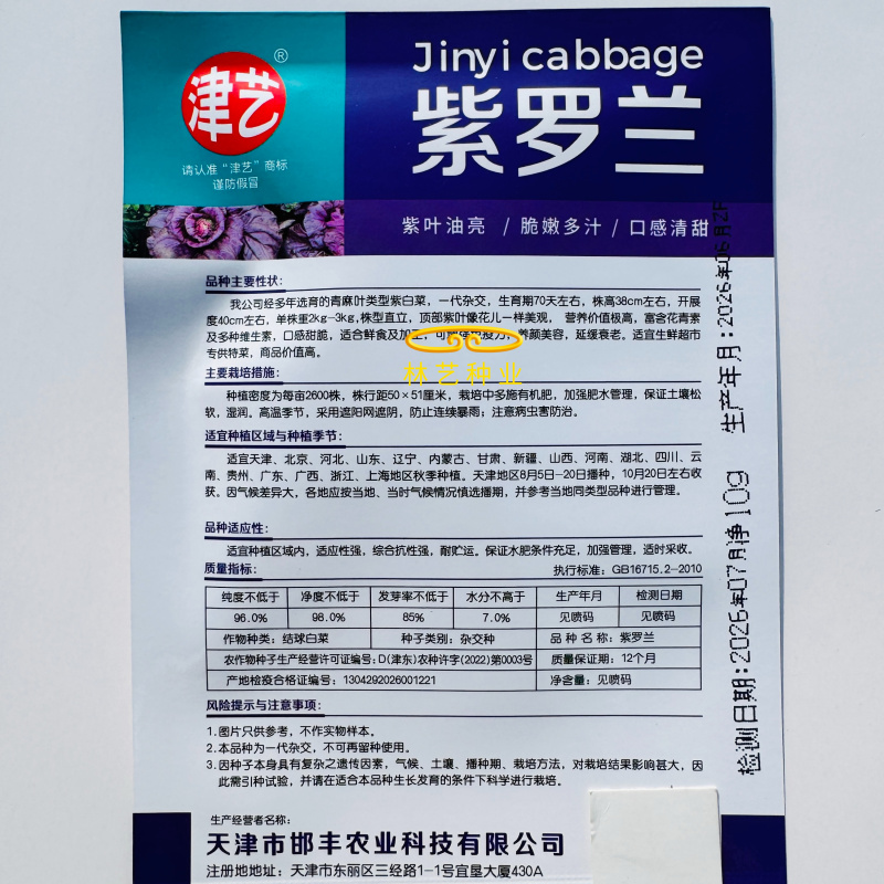 紫罗兰白菜种子青麻叶型紫白菜种子一代杂交紫白菜种籽紫白菜