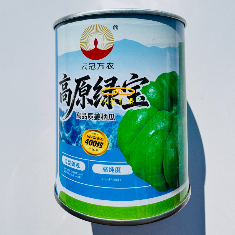 高原绿宝姜柄瓜种子高纯度瓜型美观高产抗病商品性佳春秋板栗