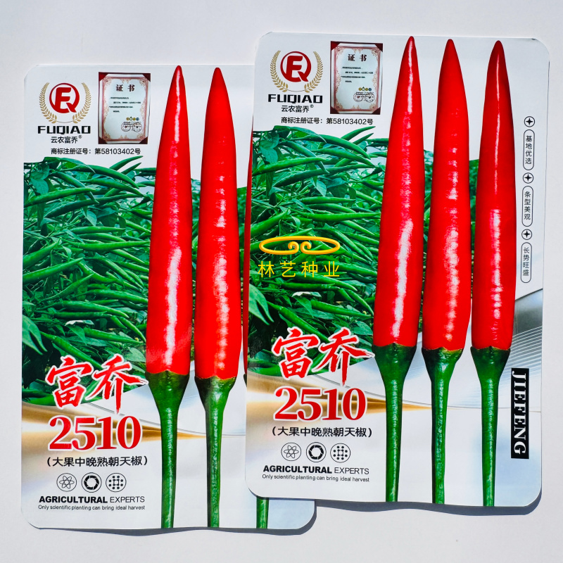 新品富乔2510朝天椒种子大果中晚熟单生朝天椒种籽